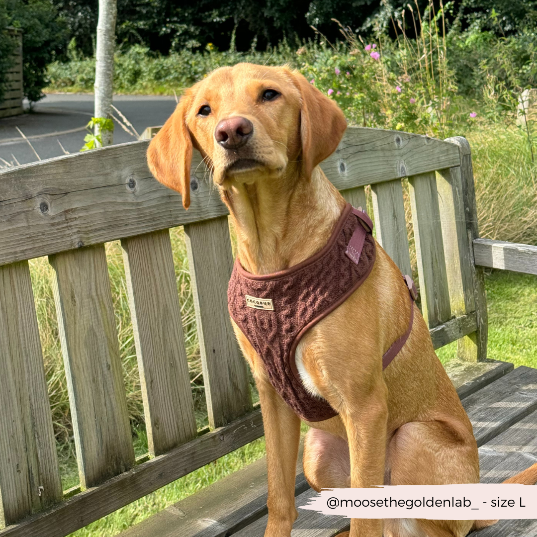 Cable Knit Jumper Adjustable Neck Harness - Hot Coco Brown