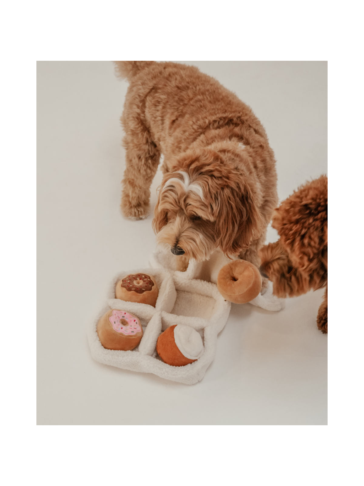 Donut Selection Box Interactive Dog Toy