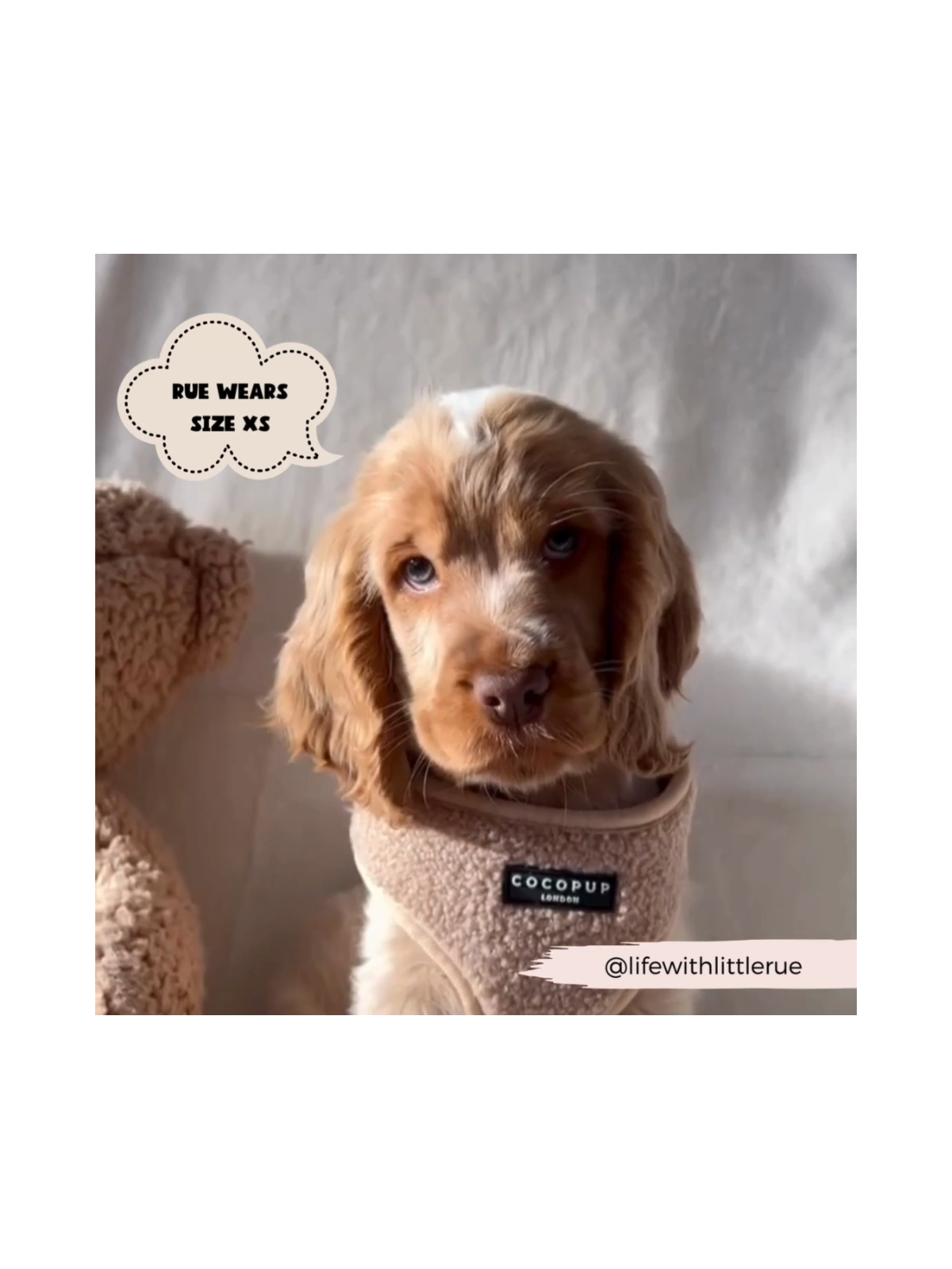 Teddy Adjustable Neck Harness – Rupert Beige