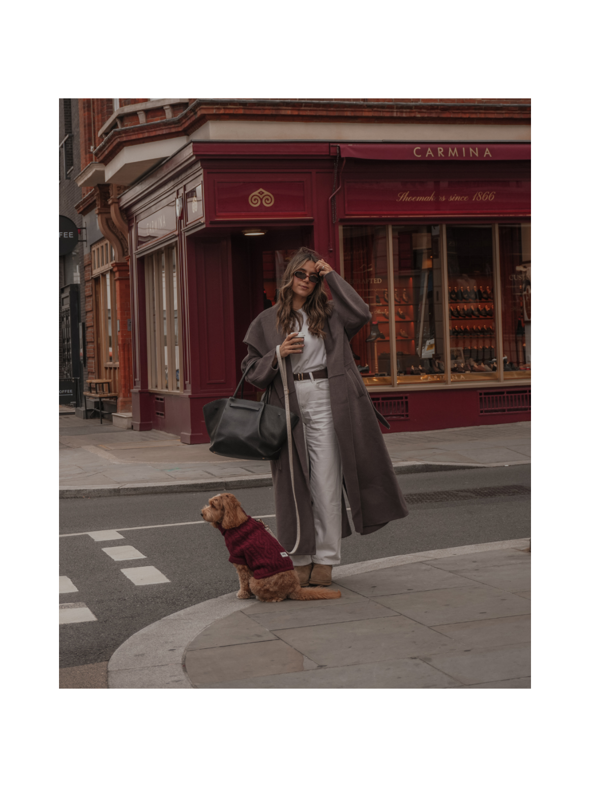 The Capsule Cable Knit Dog Sweater – Bordeaux