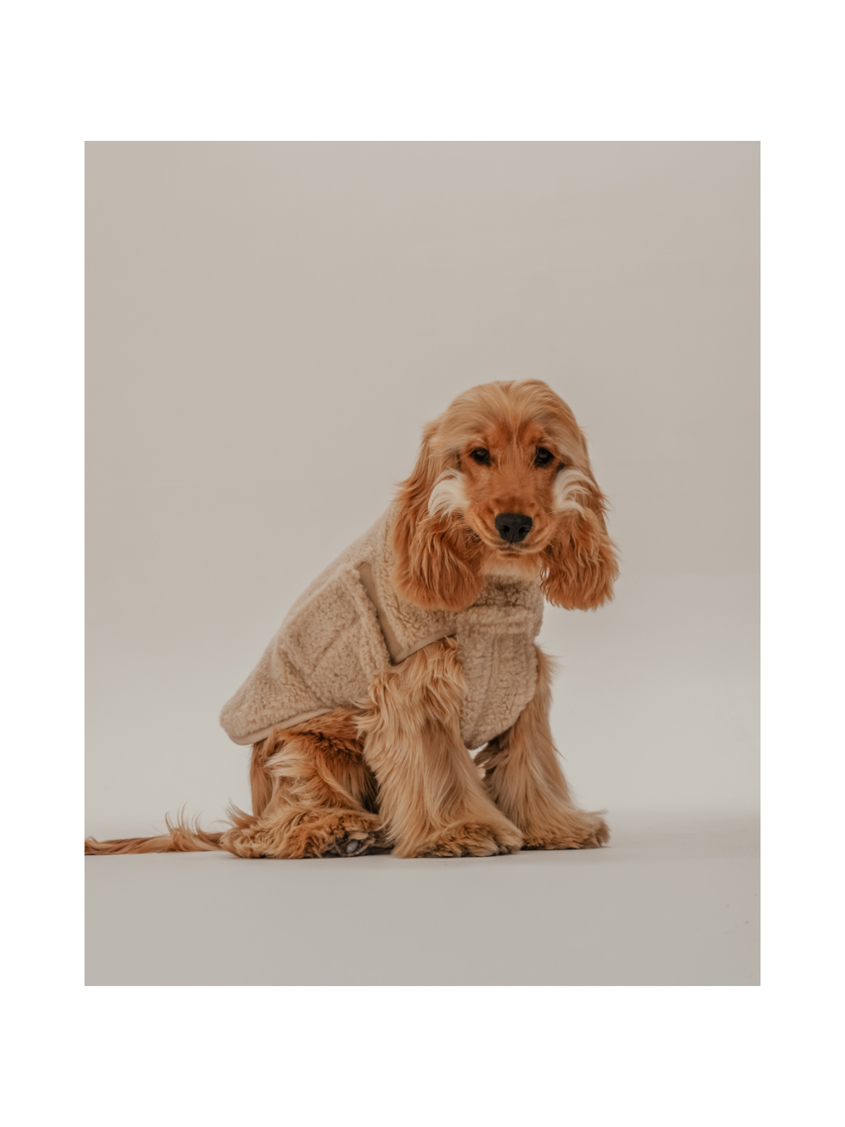 The Capsule Cosy Dog Coat