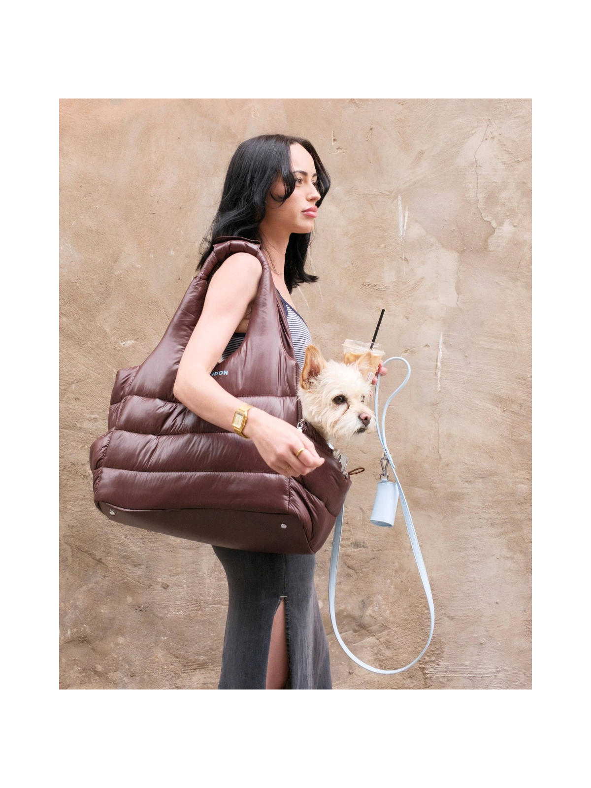 City Dog Carrier – Espresso Brown