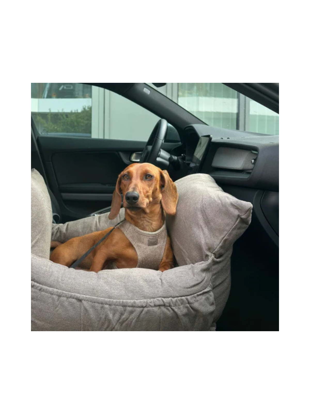 3-in-1 Dog Car Seat & Carrier – Taupe