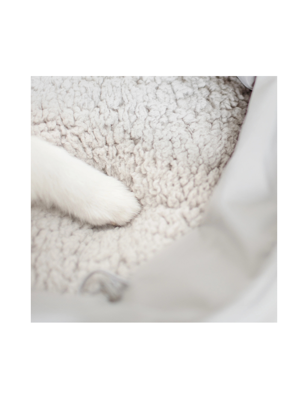 OLLA Petite Pet Carrycot – Koala