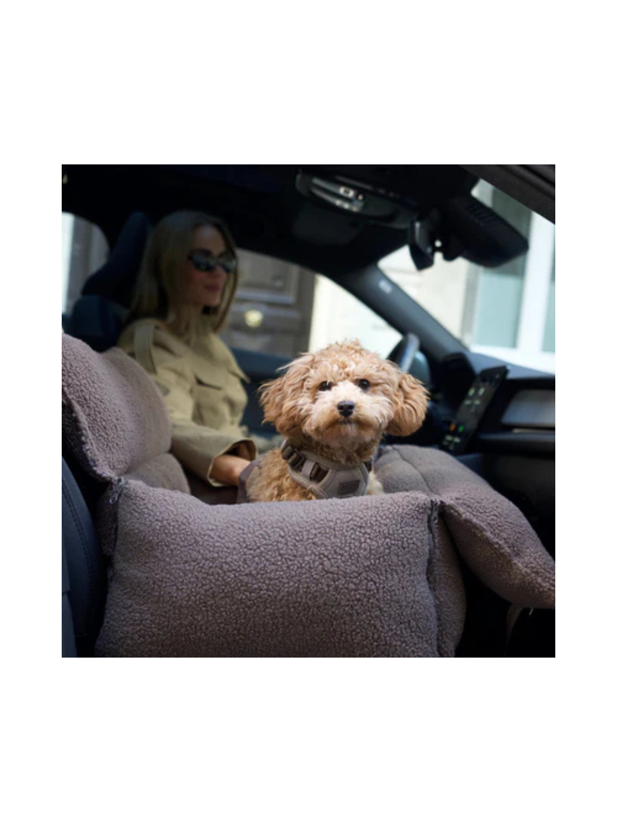 3-in-1 Dog Car Seat & Carrier – Teddy Brown