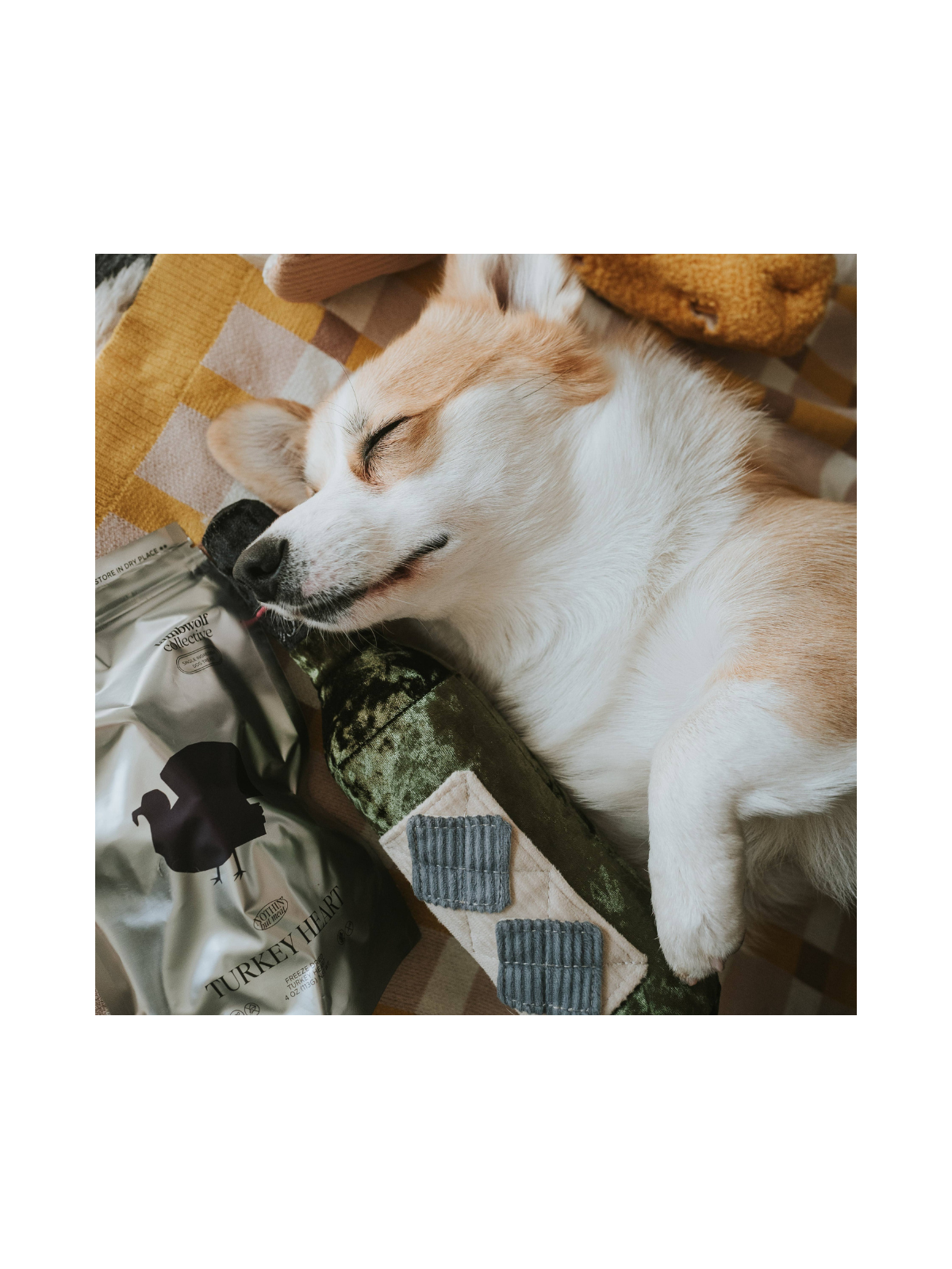 Merlot Enrichment Snuffle Toy