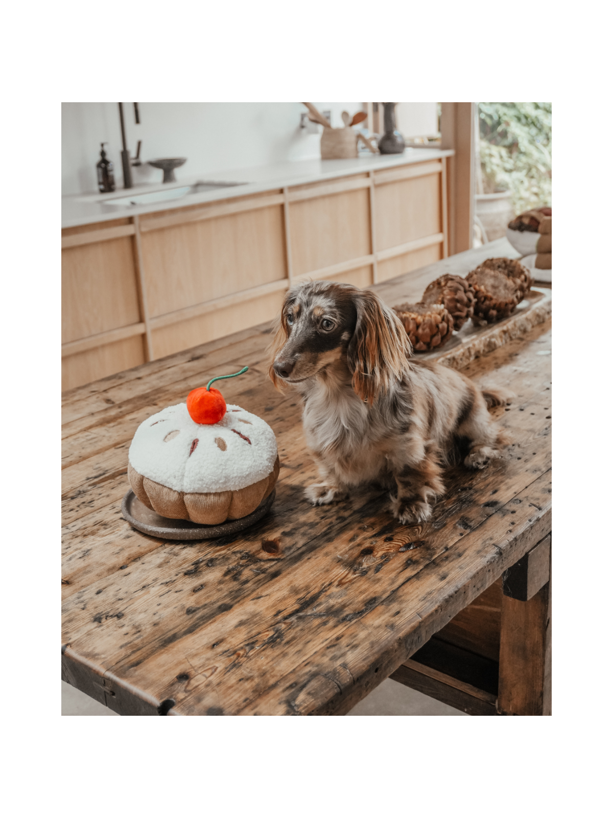 Cherry Bakewell Tart Interactive Dog Toy