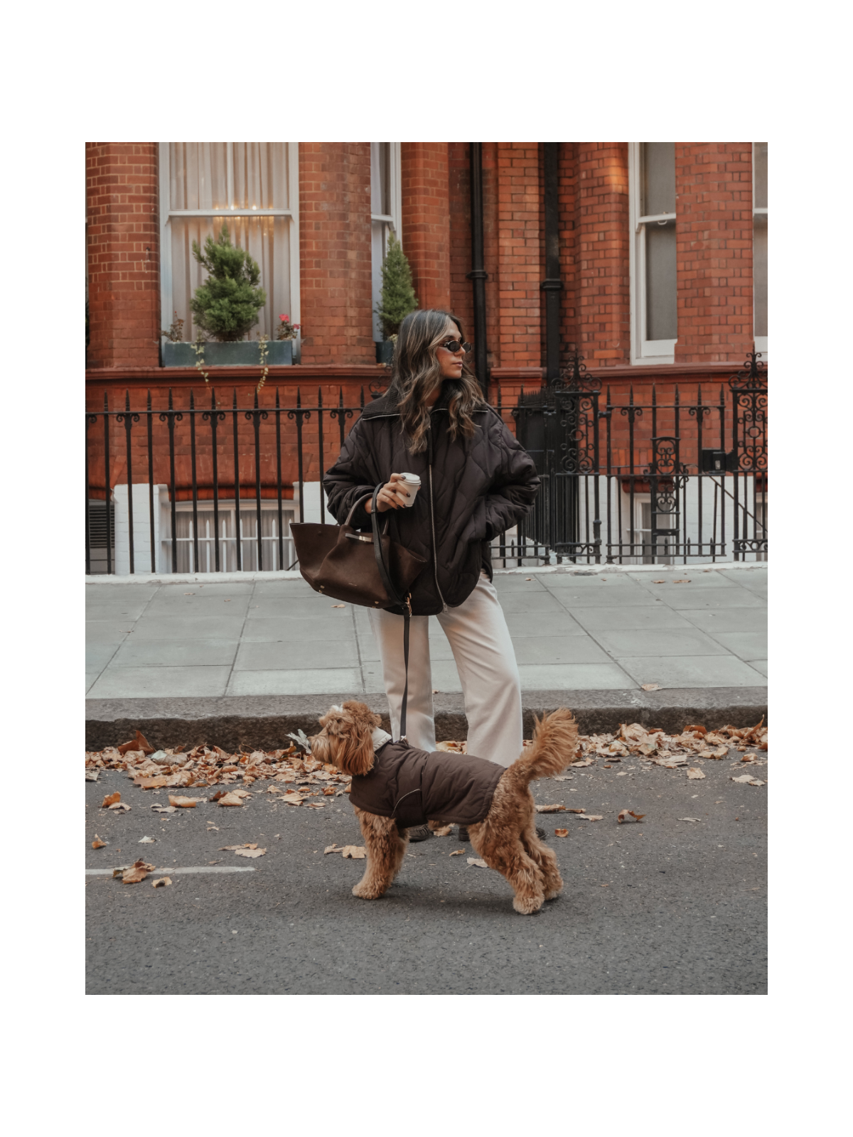 The Capsule Quilted Dog Coat – Chocolate