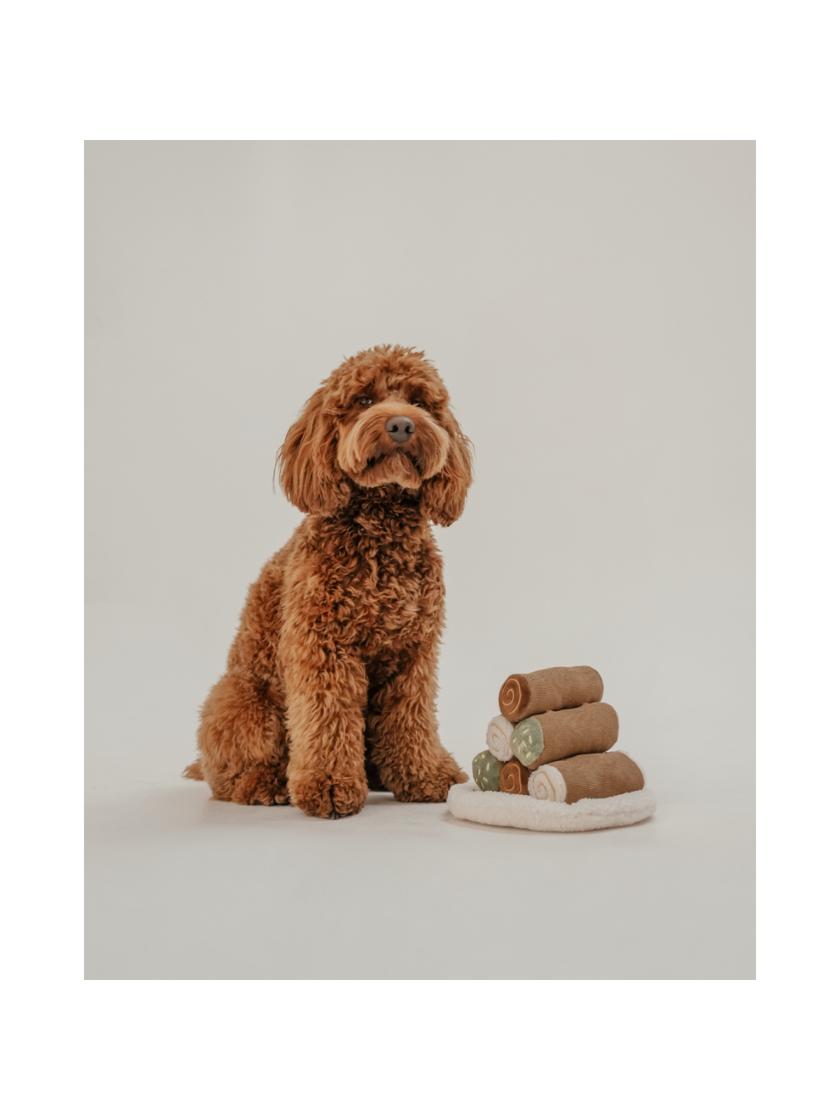 Cannoli Pyramid Interactive Dog Toy