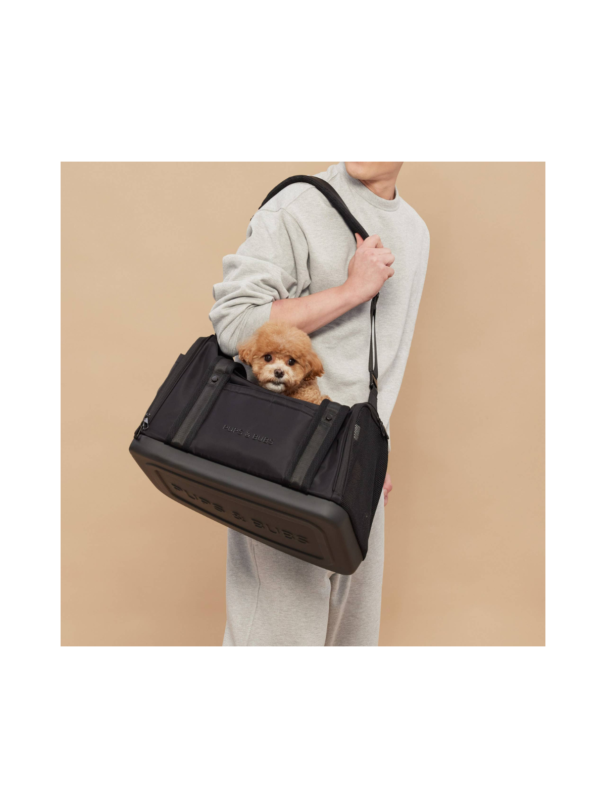 Onboard Travel Pet Carrier