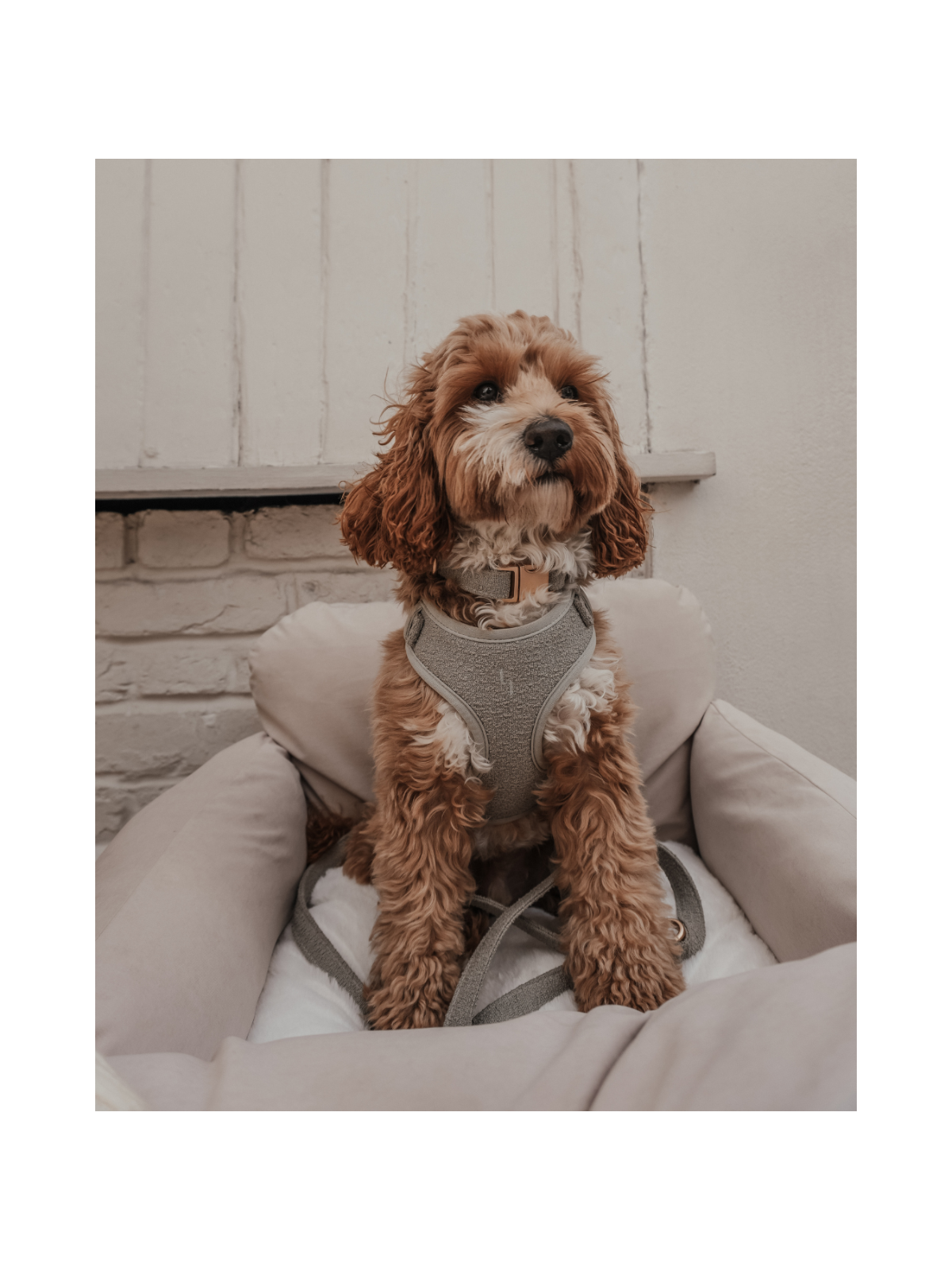 Bouclé Adjustable Harness – Matcha