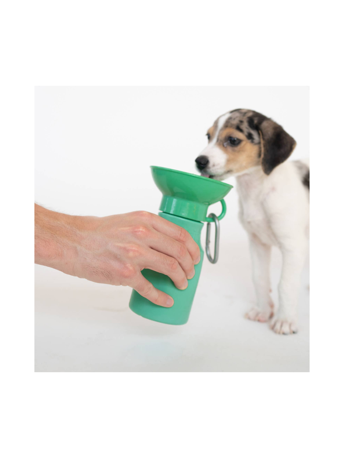 Travel Water Bottle (450ml) - Green