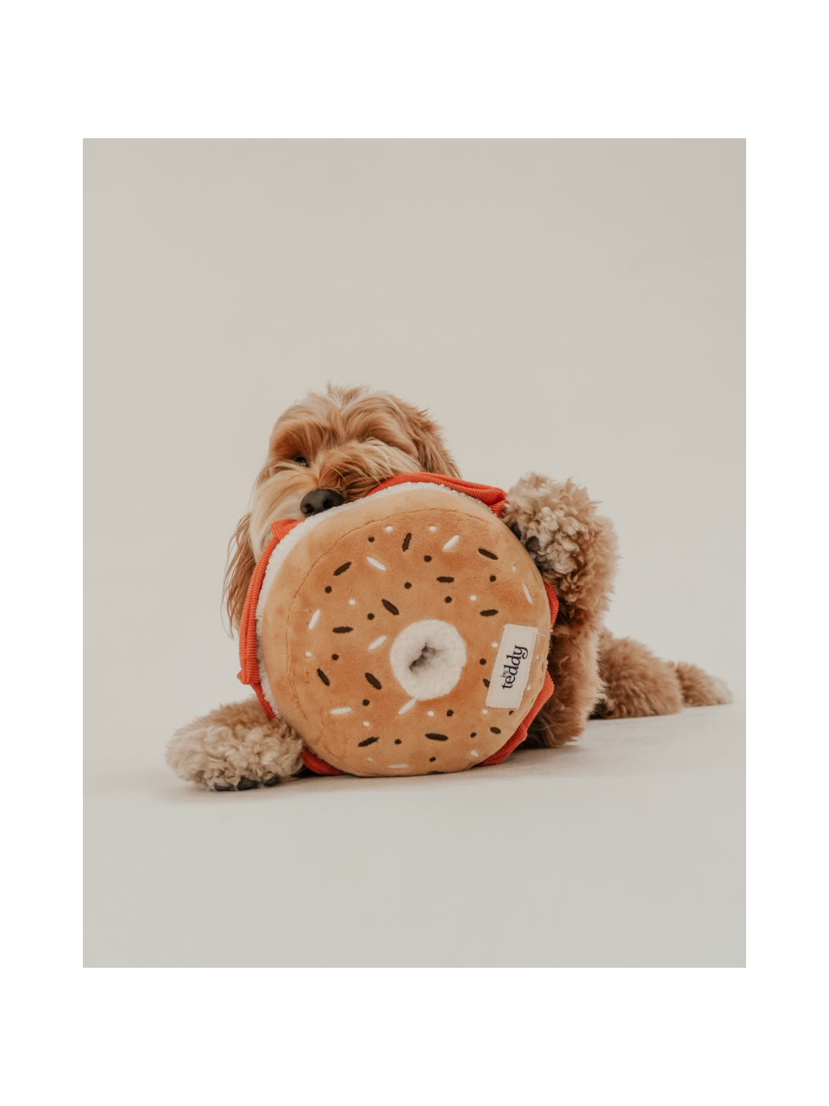 Salmon & Cream Cheese Bagel Interactive Dog Toy