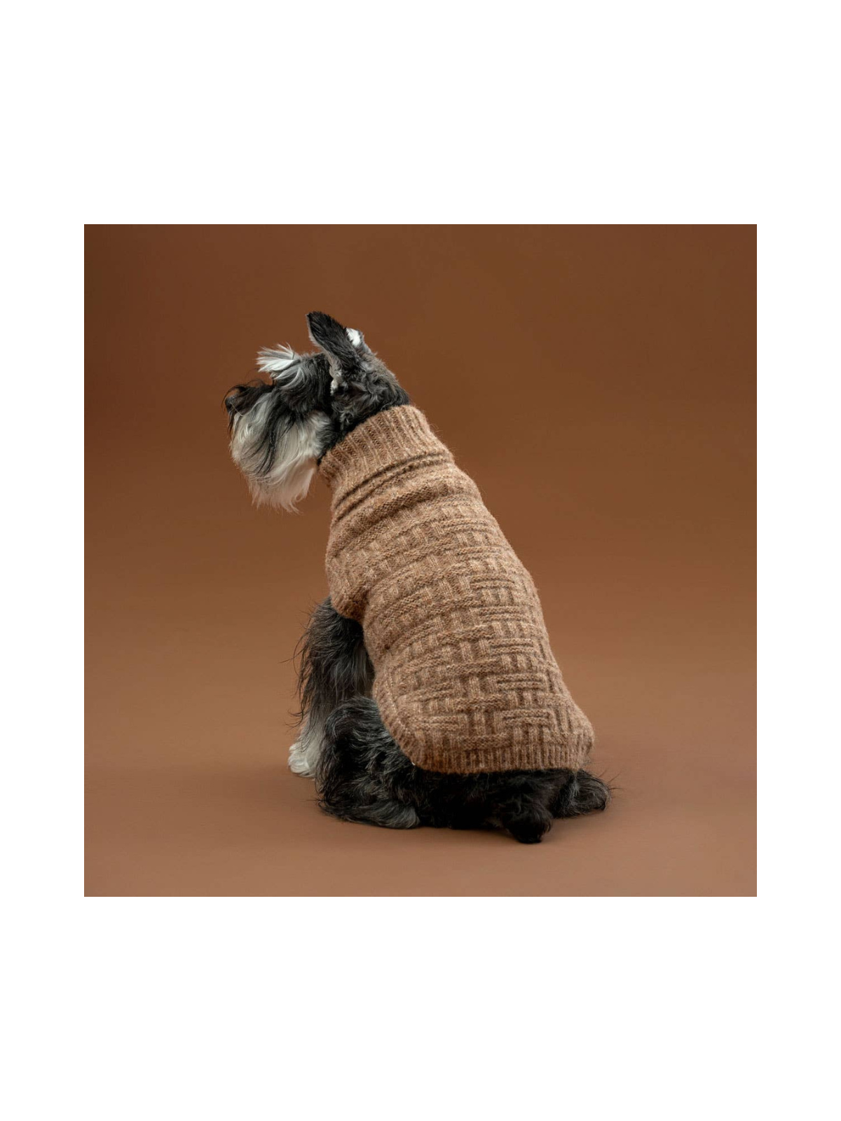 Basket Knit Dog Sweater – Golden Heather