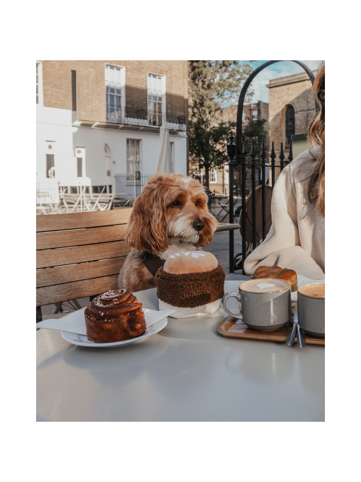 Flat White Cup Interactive Dog Toy