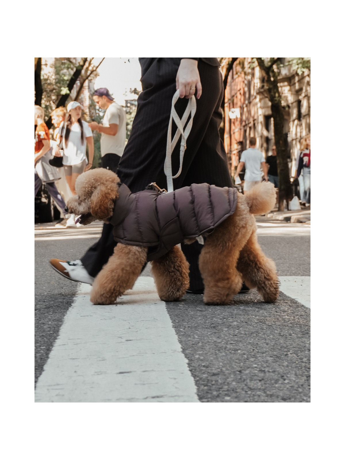 The Capsule Puffer Dog Coat – Chocolate