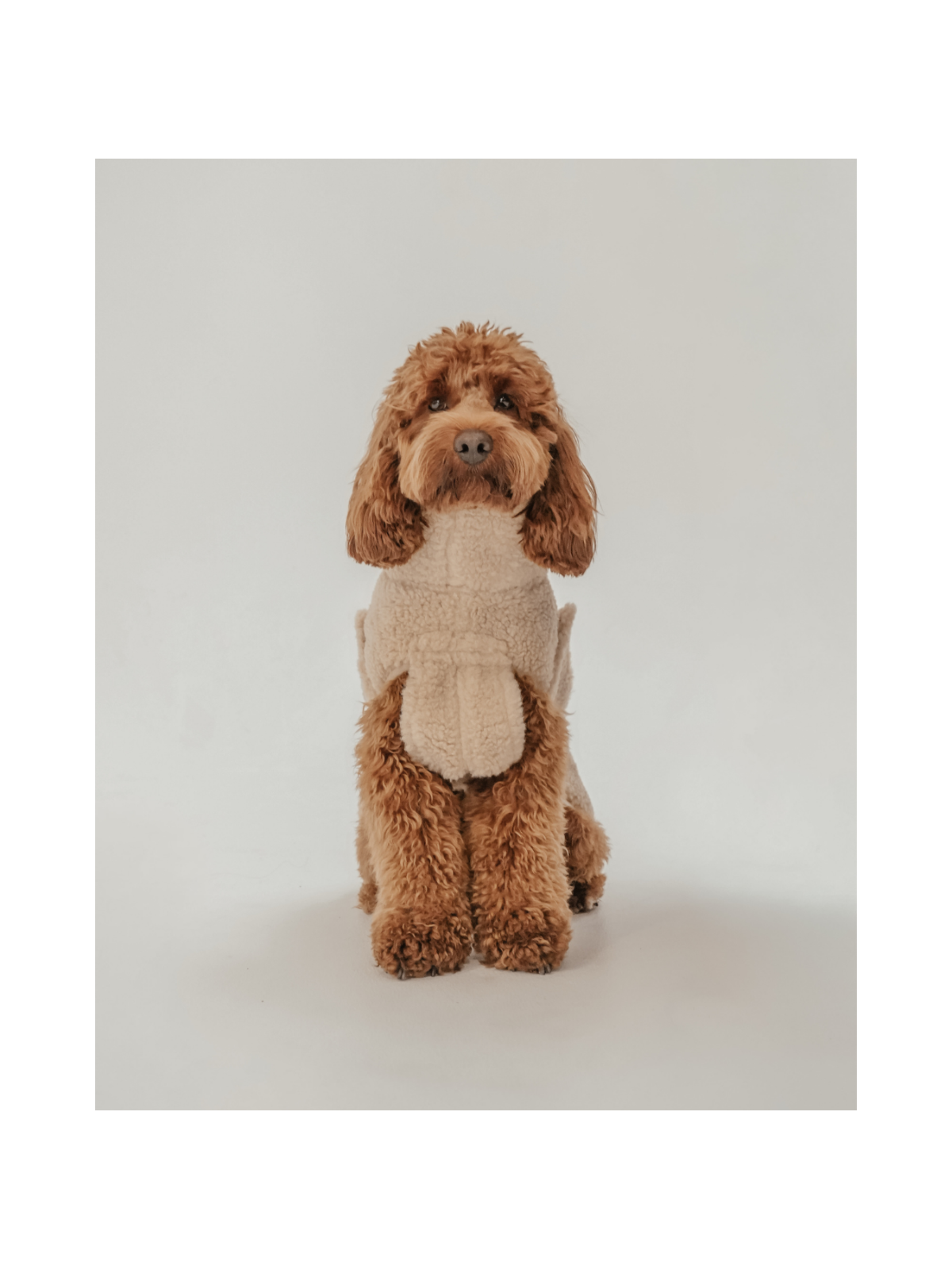 The Capsule Cosy Dog Coat