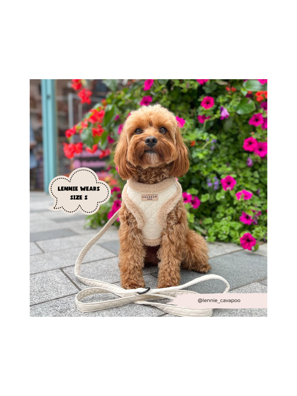 Quilted Adjustable Neck Harness - Cream