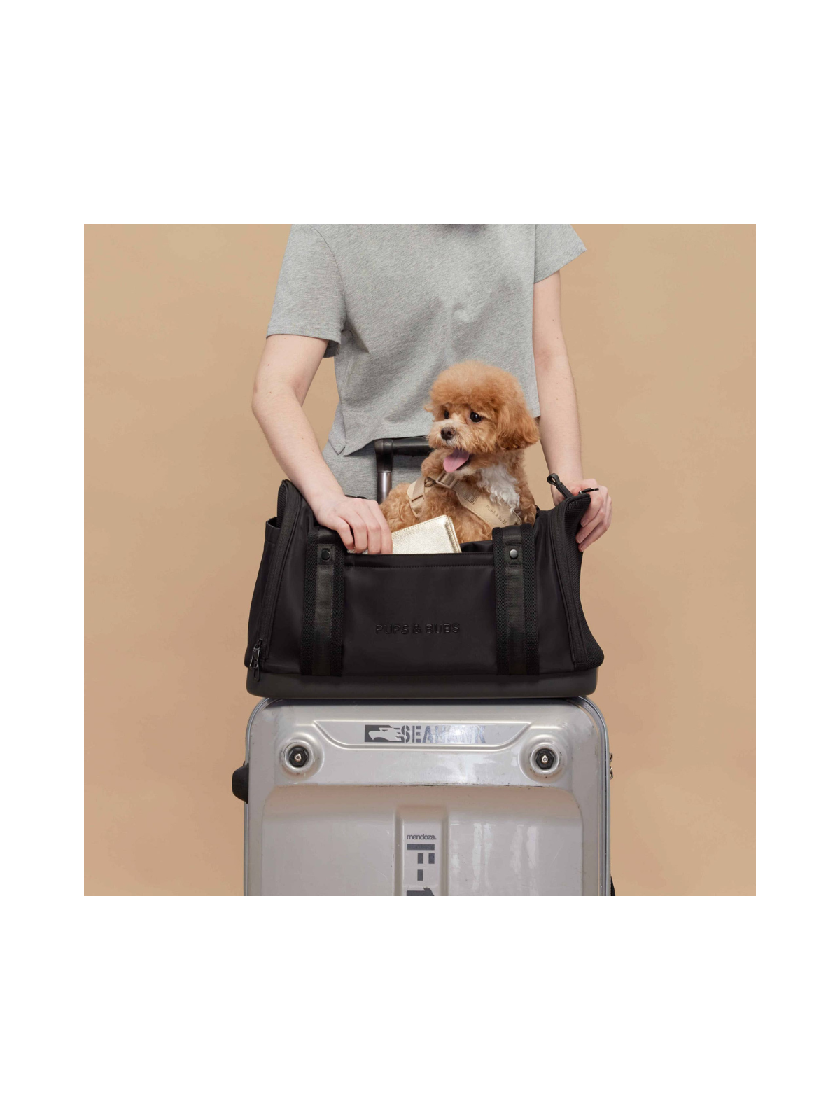 Onboard Travel Pet Carrier