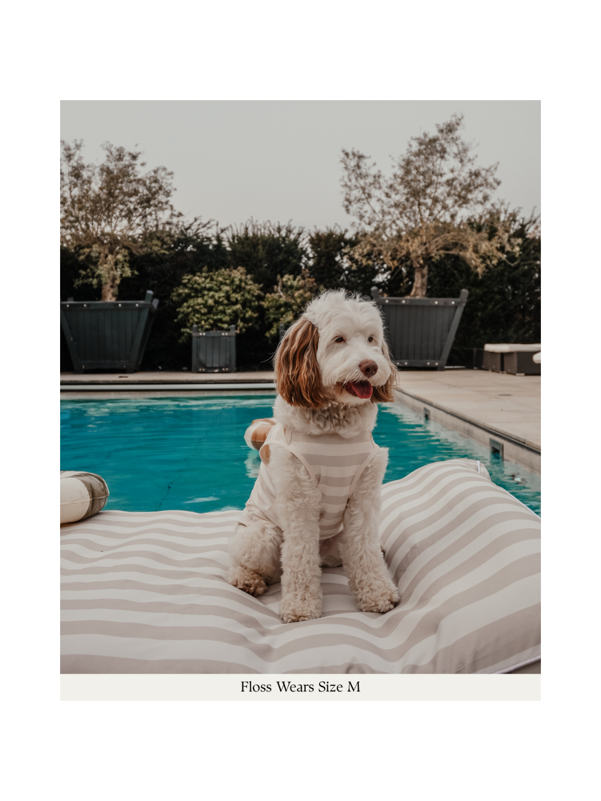 Summer Breeze Cooling Vest – Hazelnut Stripe