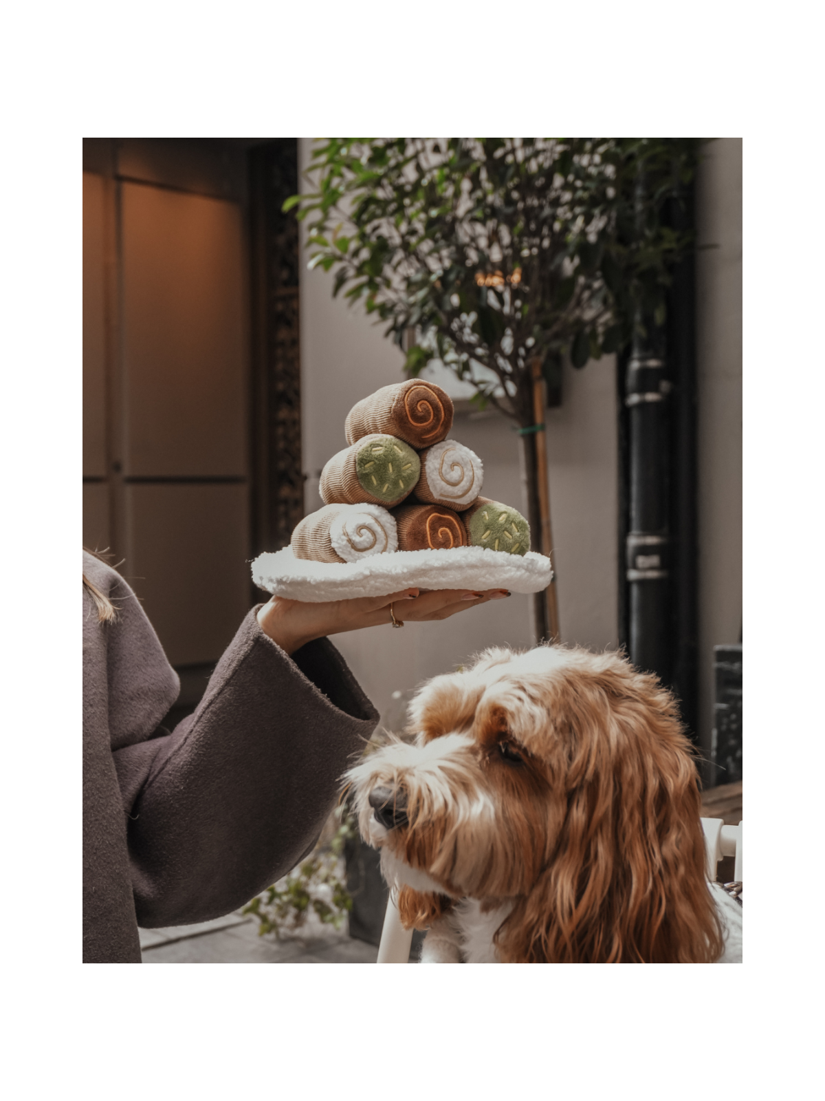 Cannoli Pyramid Interactive Dog Toy