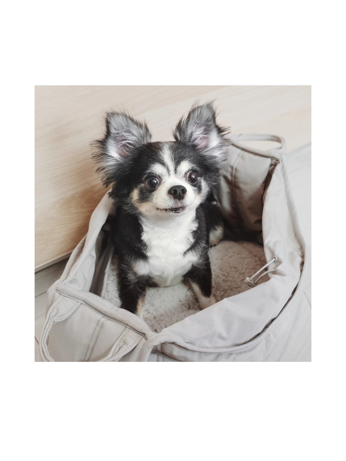 OLLA Petite Pet Carrycot – Koala