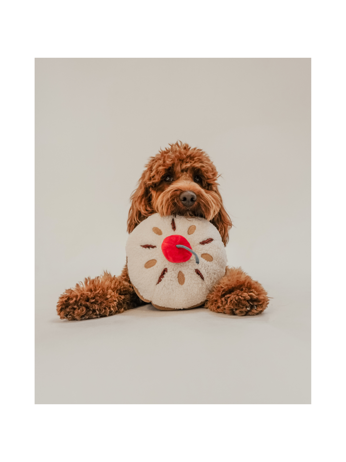 Cherry Bakewell Tart Interactive Dog Toy