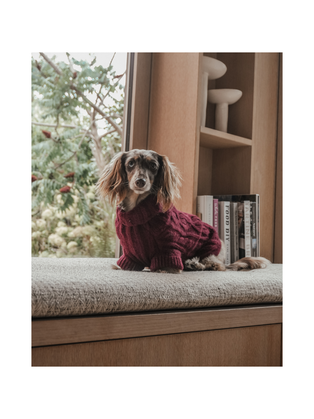 The Capsule Cable Knit Dog Sweater – Bordeaux