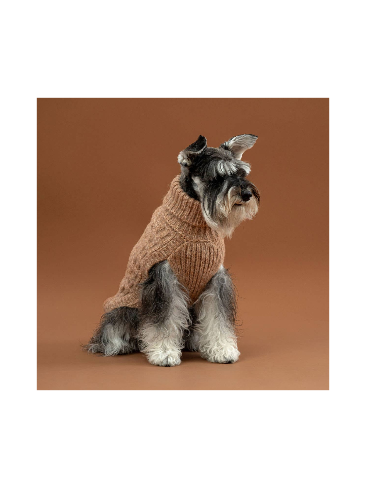 Basket Knit Dog Sweater – Golden Heather