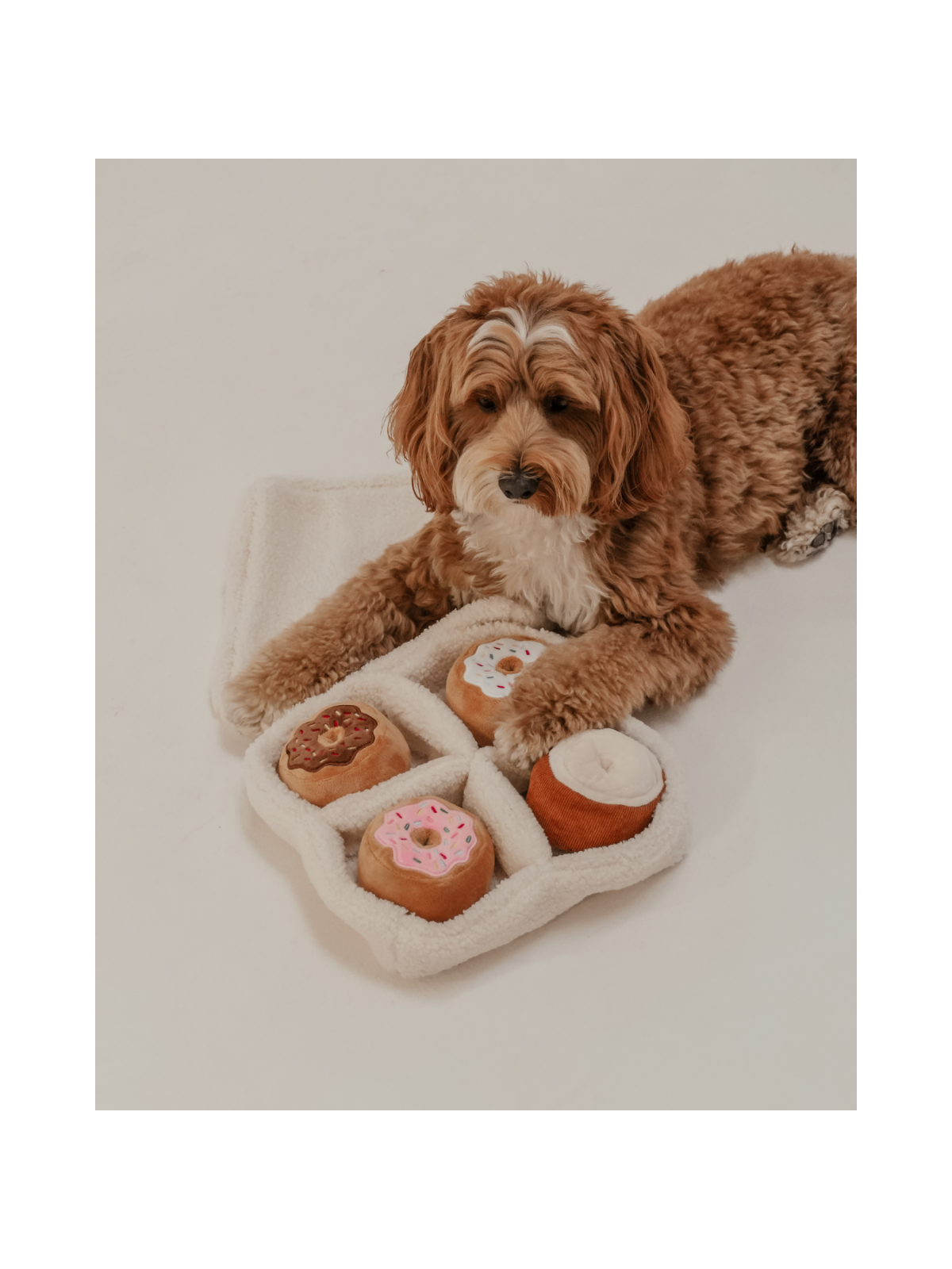 Donut Selection Box Interactive Dog Toy