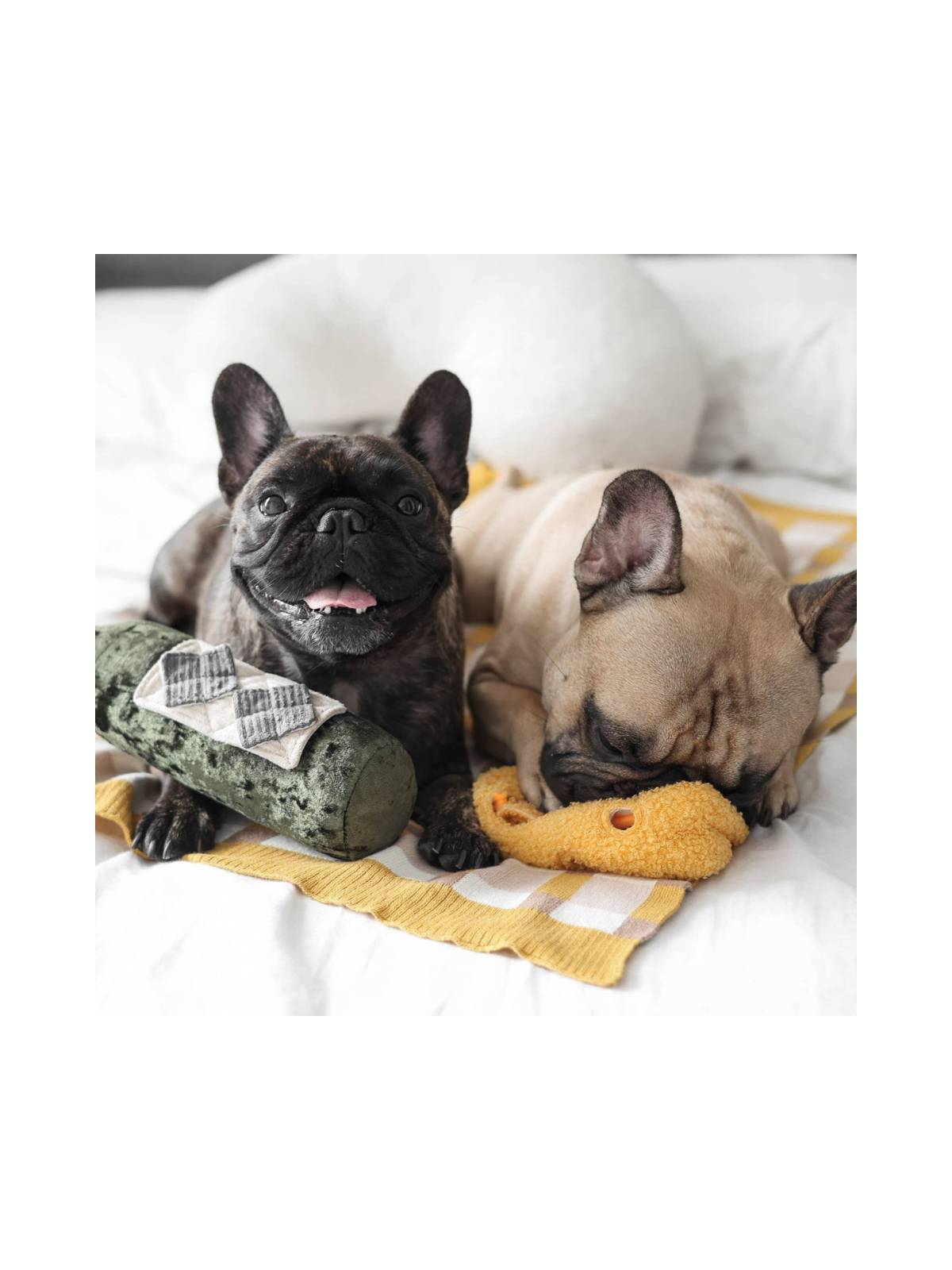 Merlot Enrichment Snuffle Toy