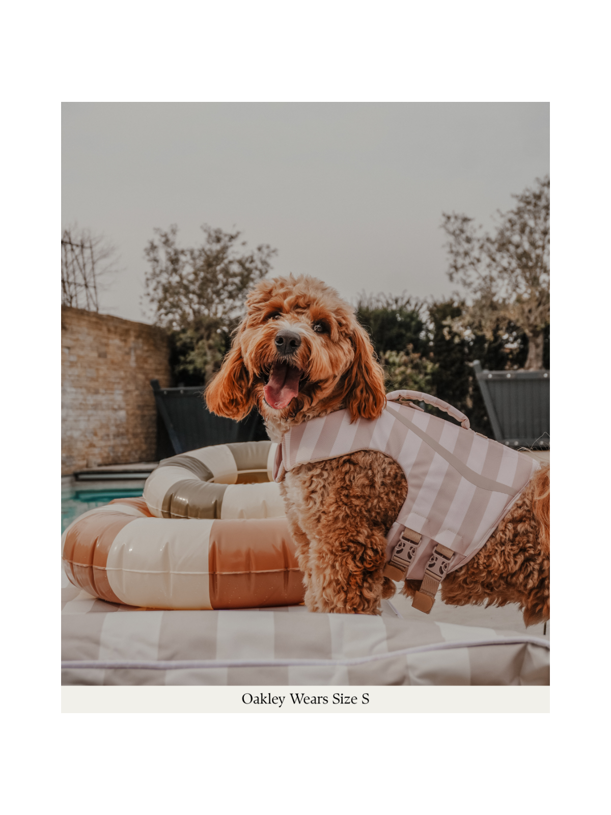 The Tide Rider Life Jacket