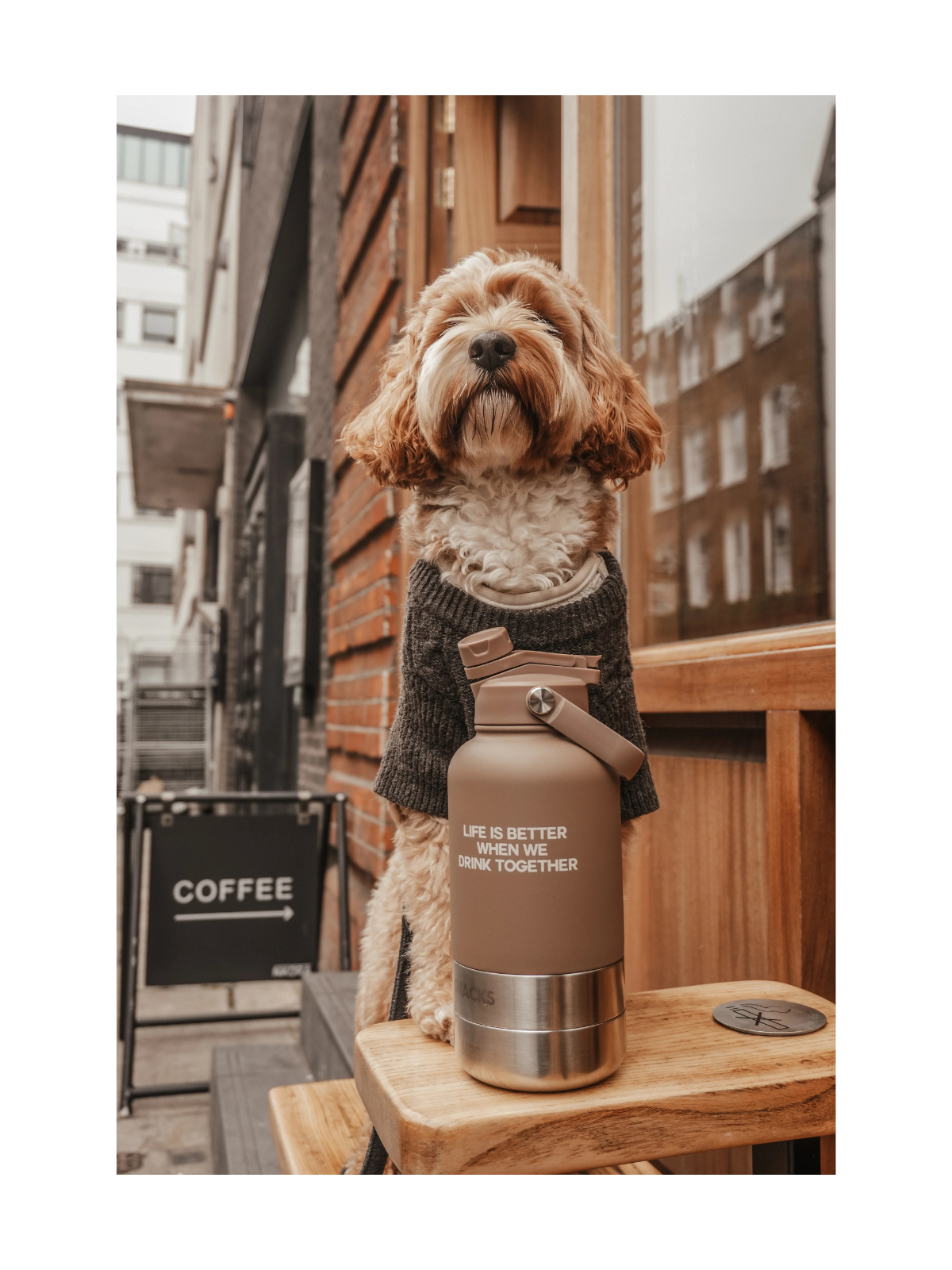 The 3-in-1 Bowl Bottle – Chocolate