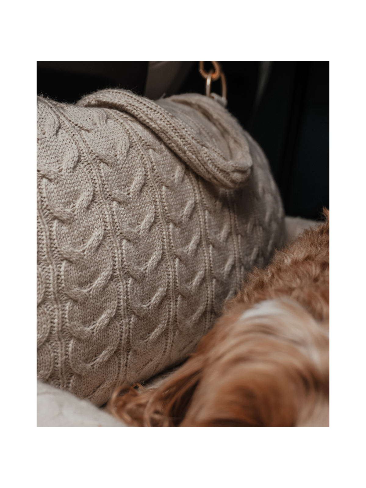 The Cable Knit 3-in-1 Dog Car Seat – Hazelnut