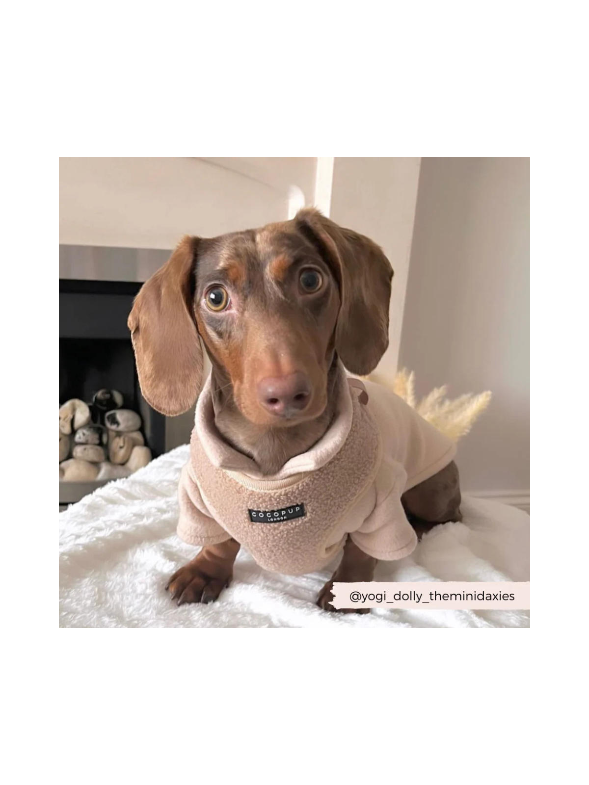 Teddy Adjustable Neck Harness – Rupert Beige