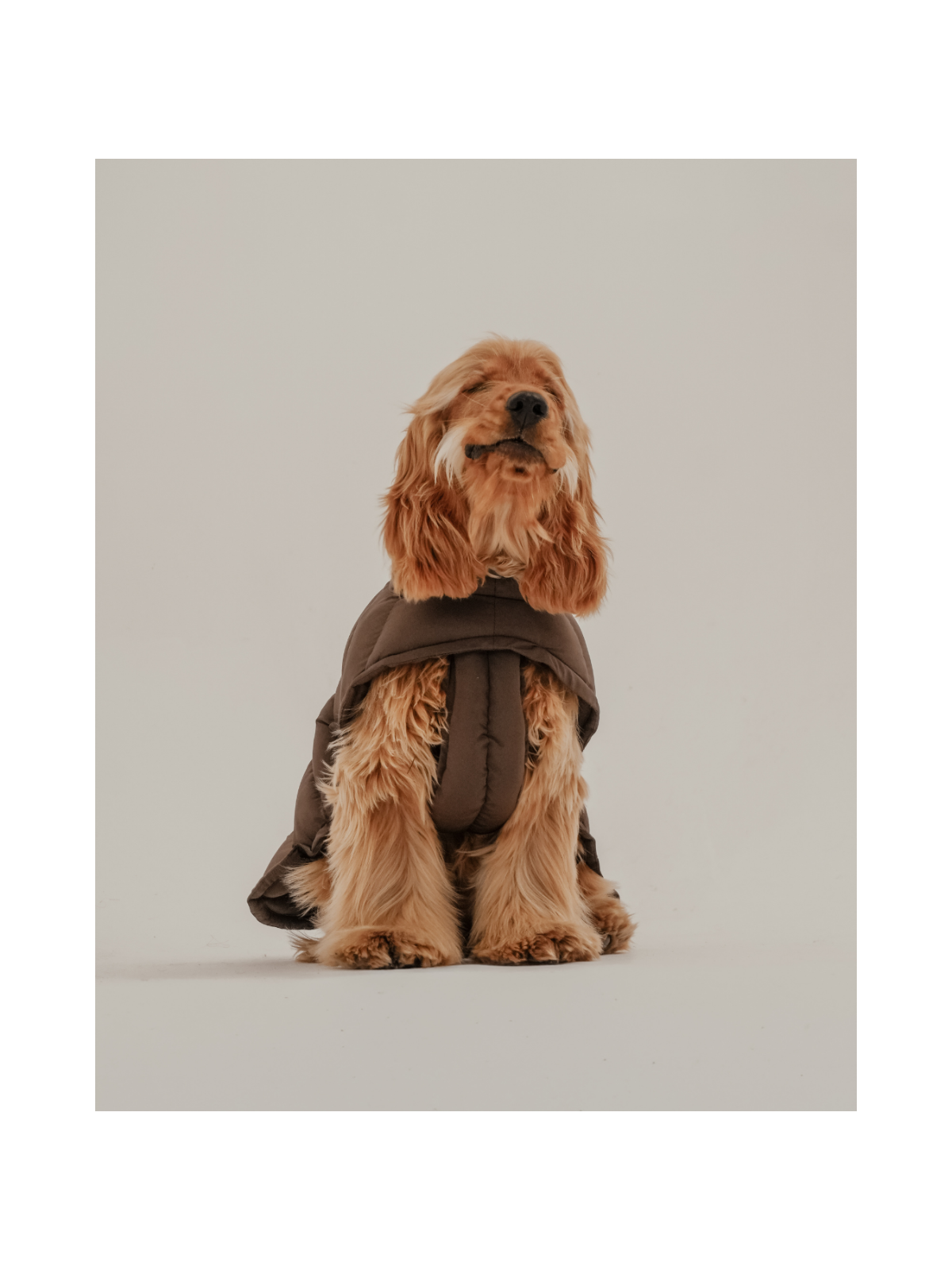 The Capsule Puffer Dog Coat – Chocolate