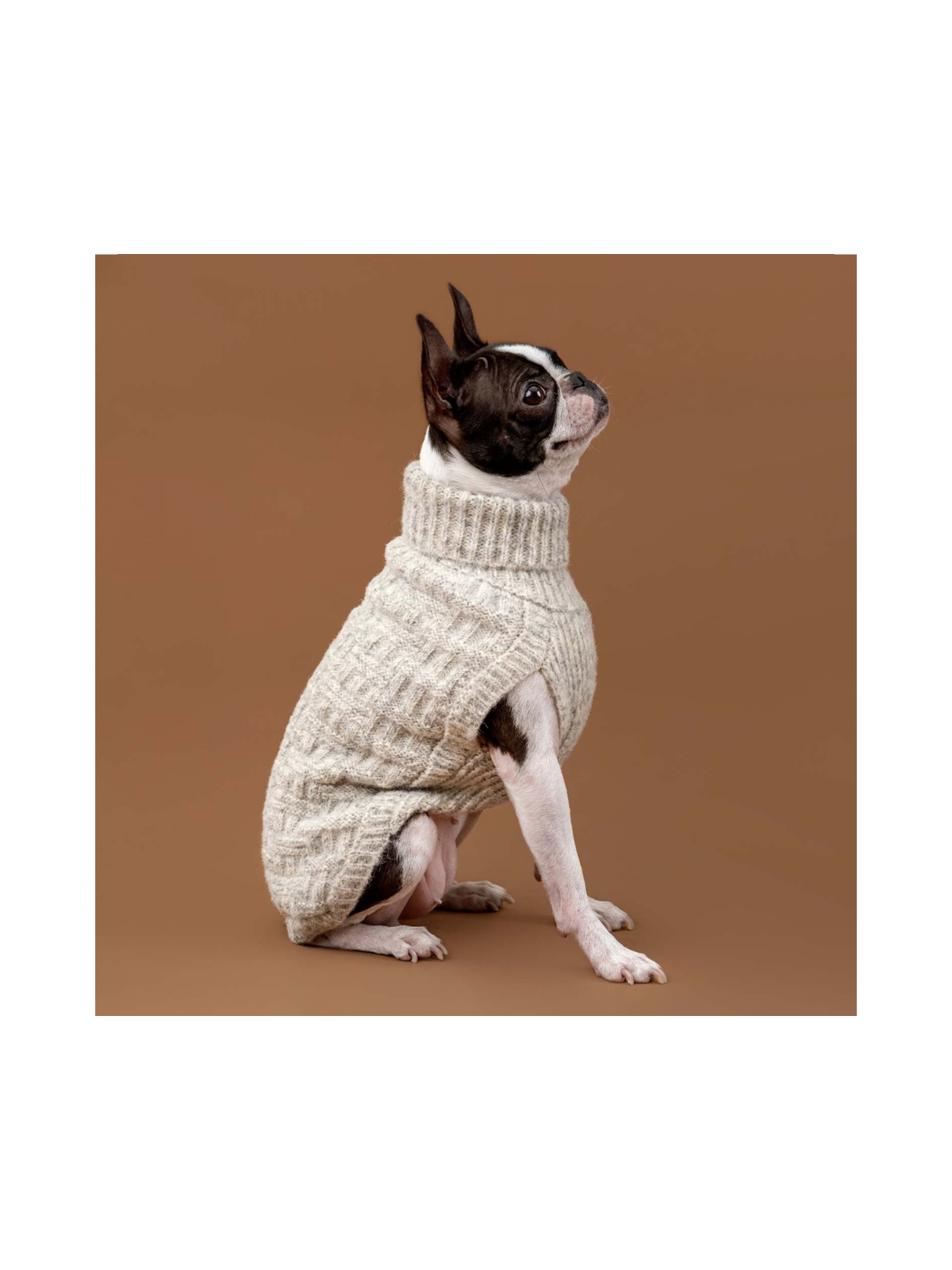 Basket Knit Dog Sweater – Ivory Heather