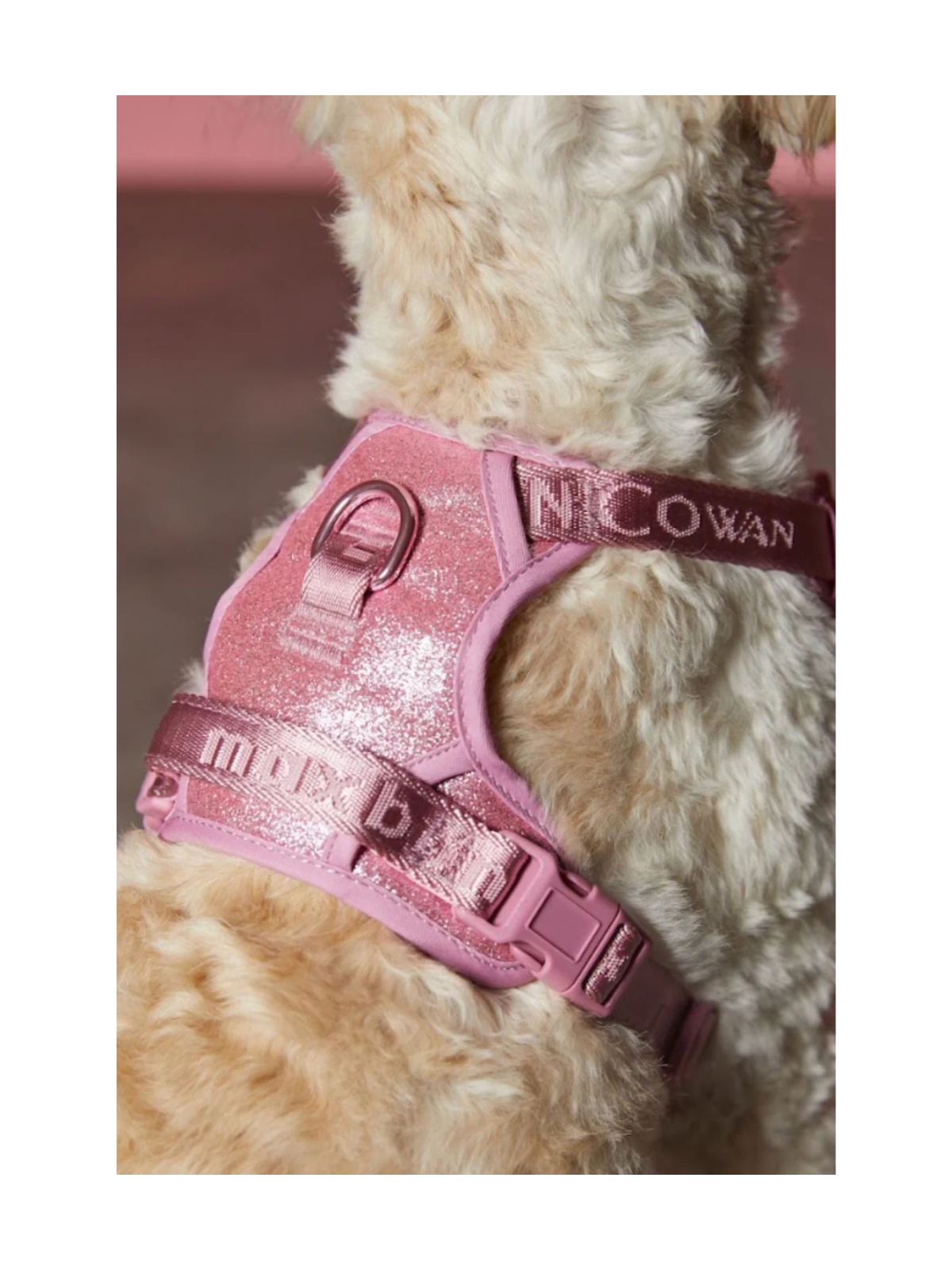 Maxbone x Christian Cowan Glitz Walk Set – Hot Pink