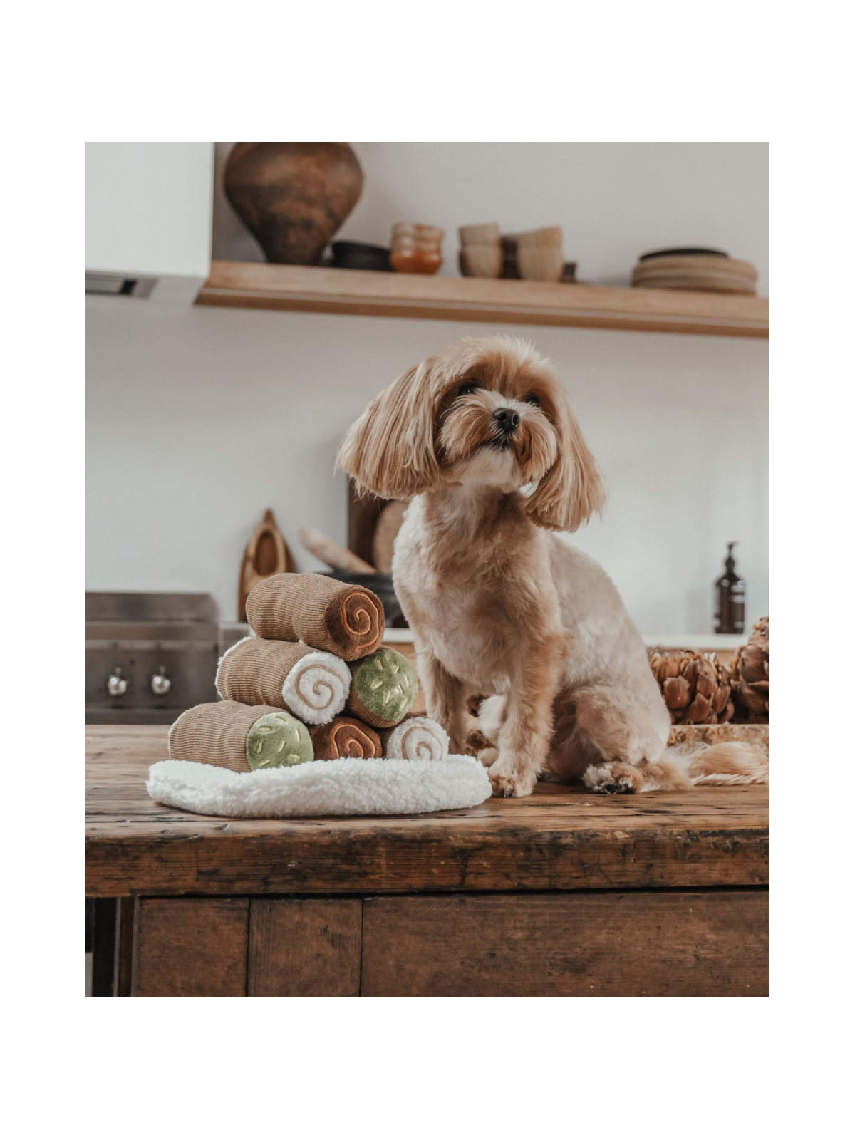 Cannoli Pyramid Interactive Dog Toy
