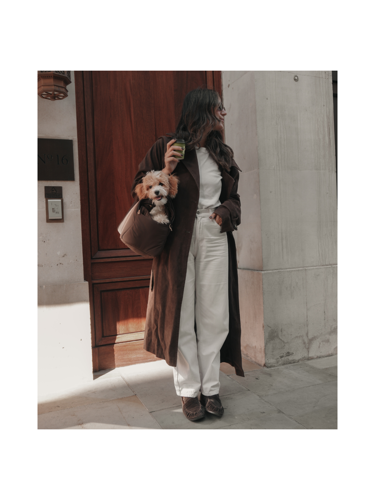 The Puffer Carrier – Chocolate