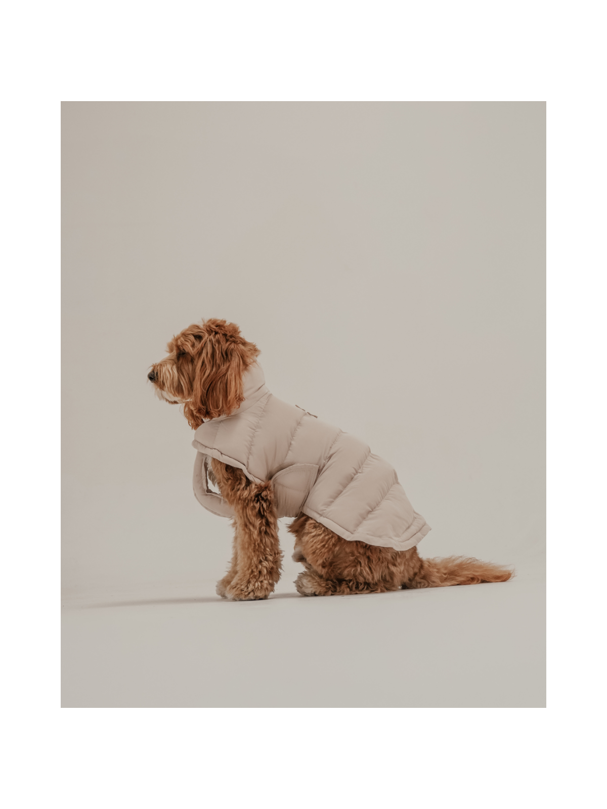 The Capsule Puffer Dog Coat – Hazelnut