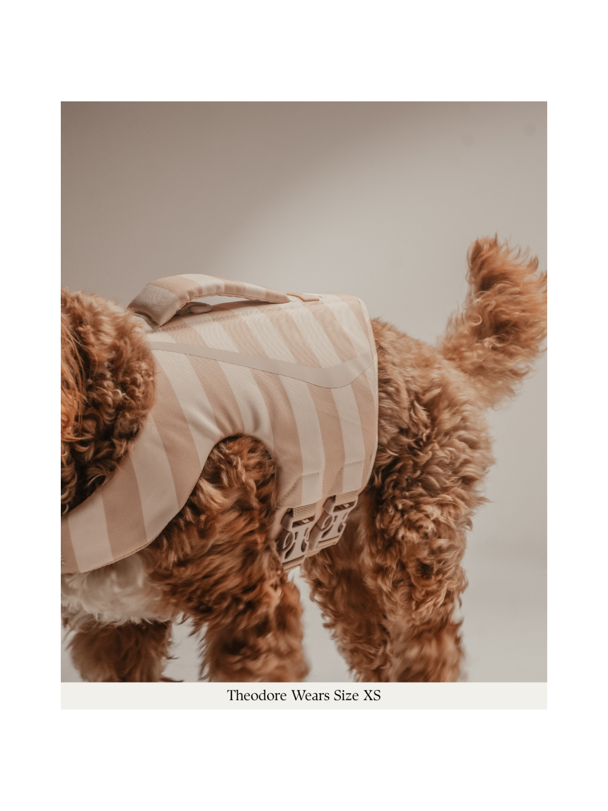 The Tide Rider Life Jacket