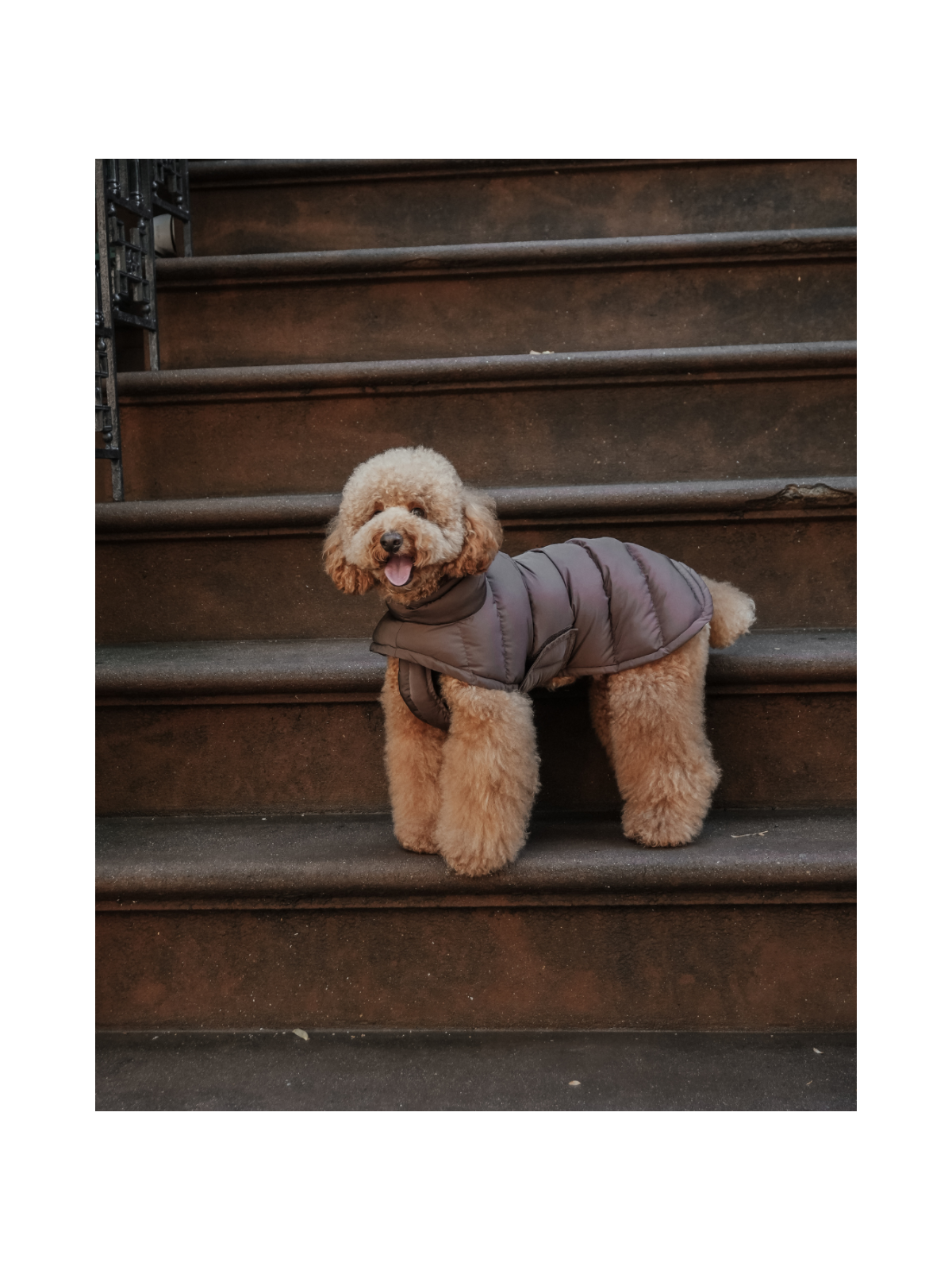 The Capsule Puffer Dog Coat – Chocolate
