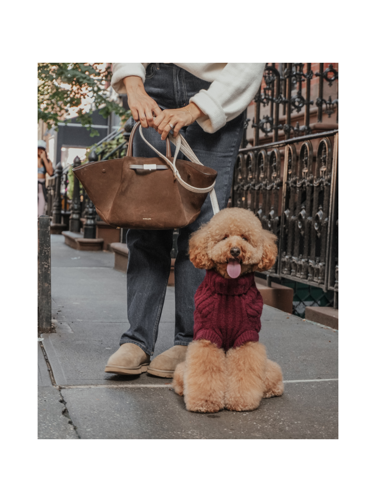 The Capsule Cable Knit Dog Sweater – Bordeaux