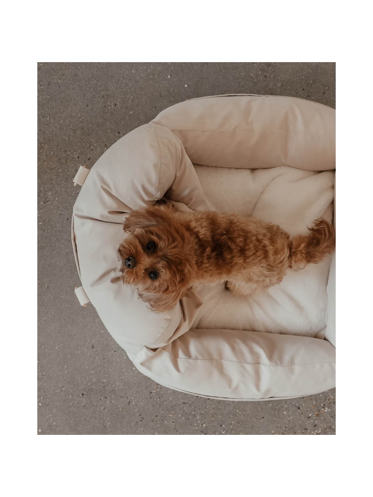 The Puffer Dog Car Seat – Marshmallow