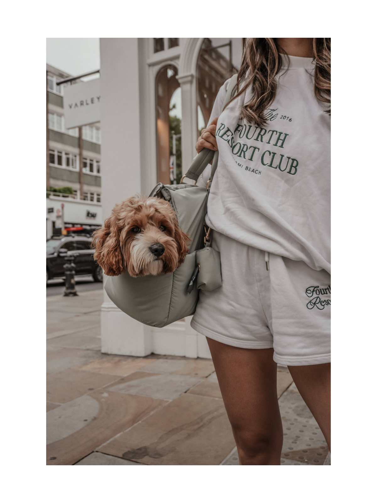 Puffer Dog Carrier – Matcha