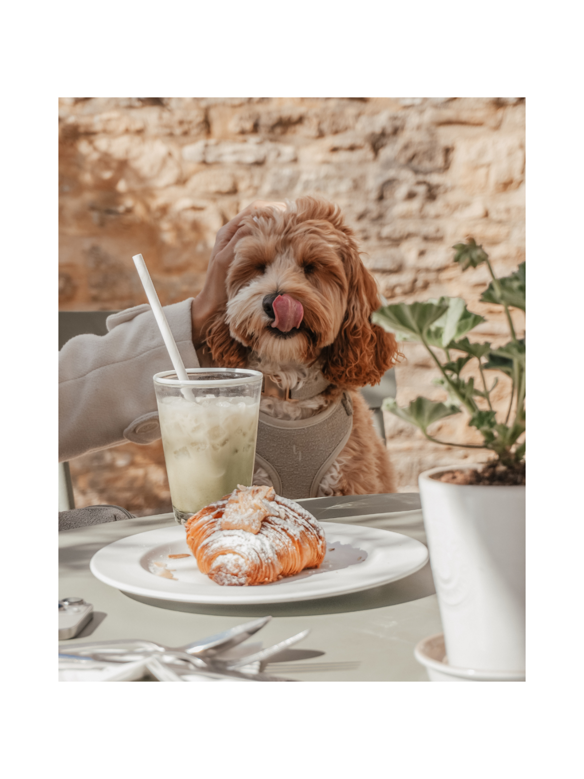 Bouclé Adjustable Harness – Matcha