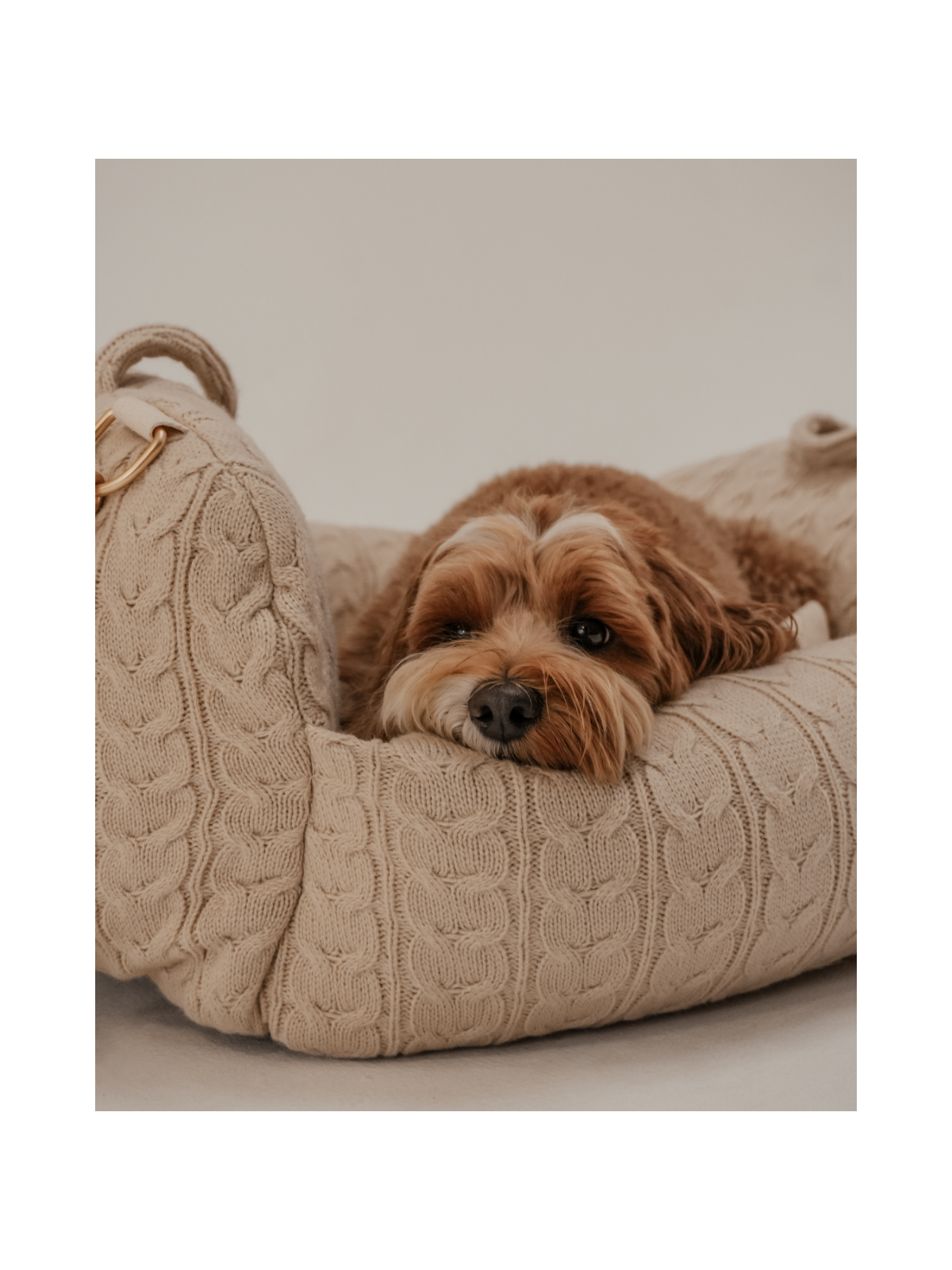 The Cable Knit 3-in-1 Dog Car Seat – Hazelnut