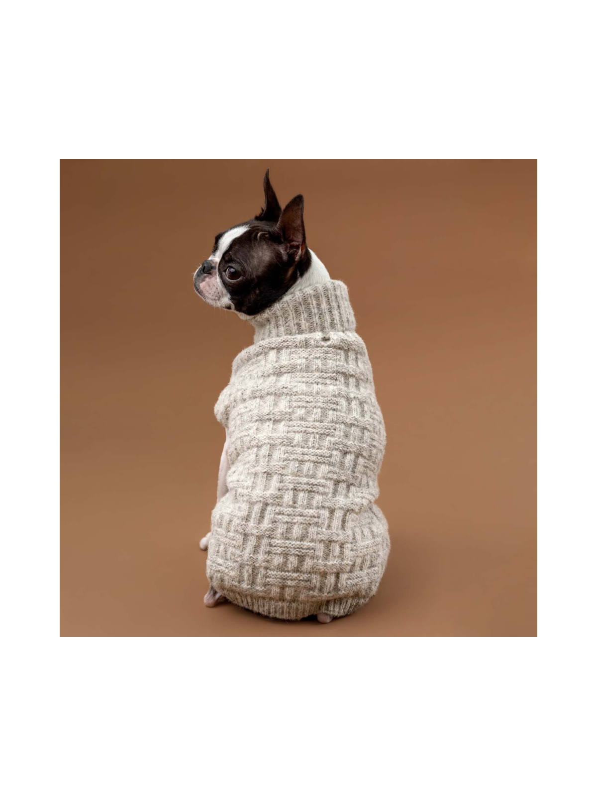 Basket Knit Dog Sweater – Ivory Heather