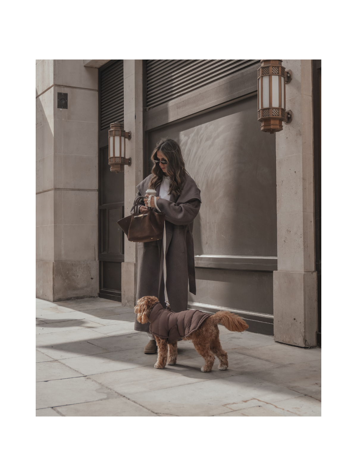 The Capsule Puffer Dog Coat – Chocolate